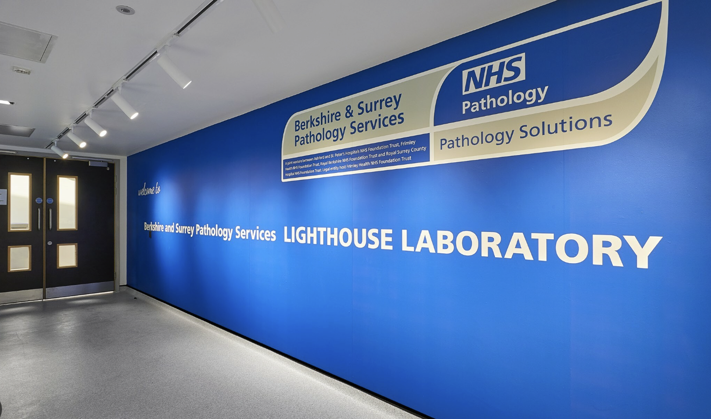 Financial Improvement