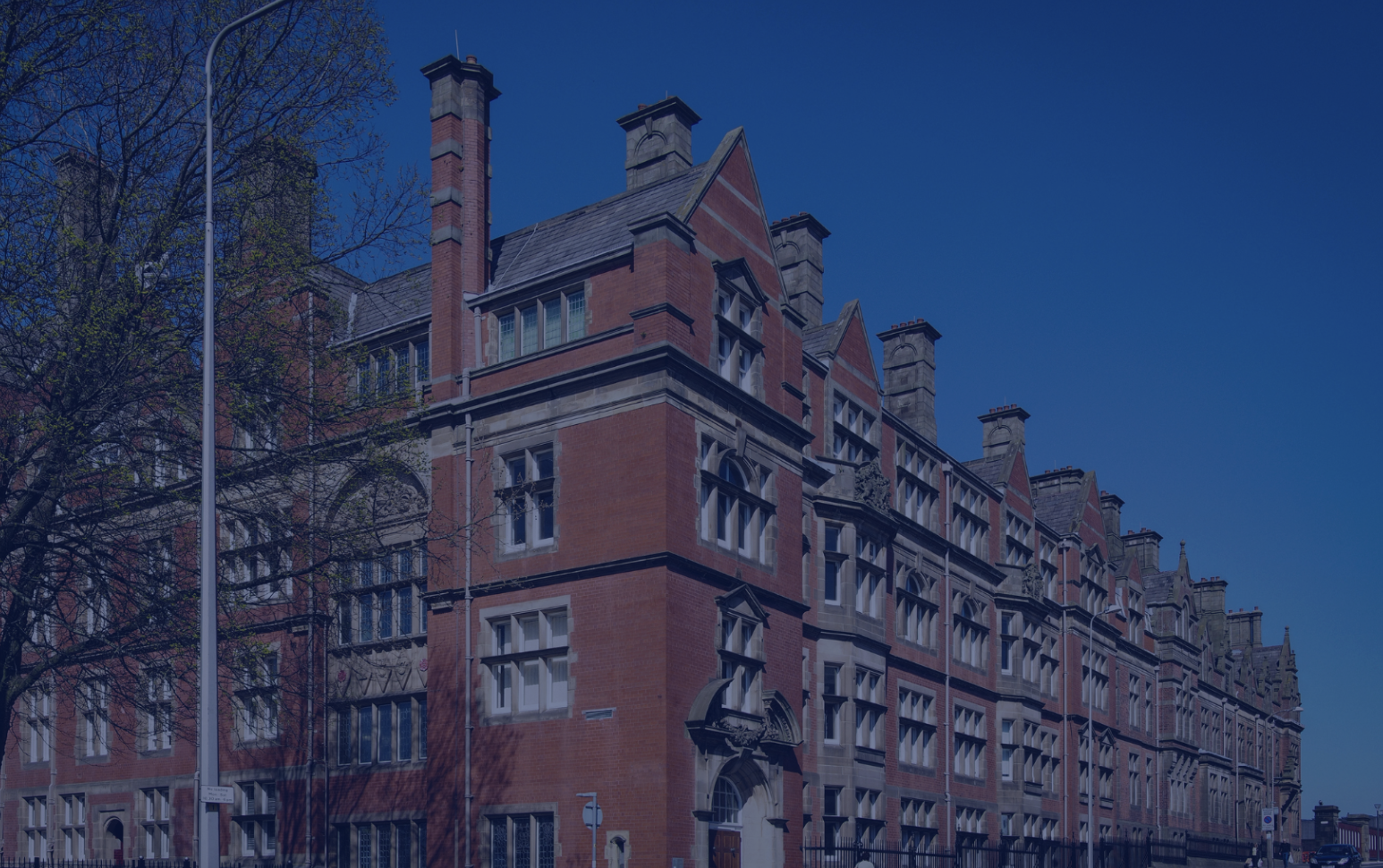 Financial Improvement Support